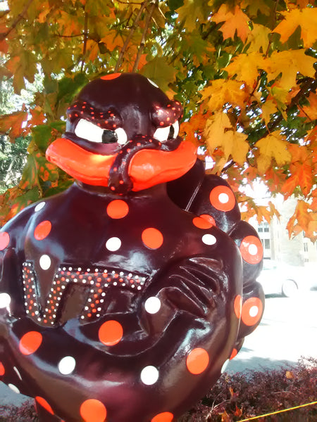Dottie's Friday Favorites: Fall is Here
