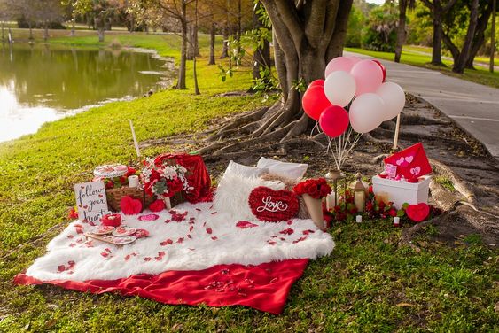 Dottie's Valentines Day Picnic Essentials