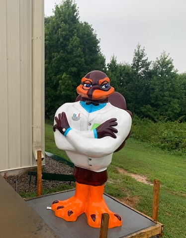 Fralin Biomedical Research Center Bird